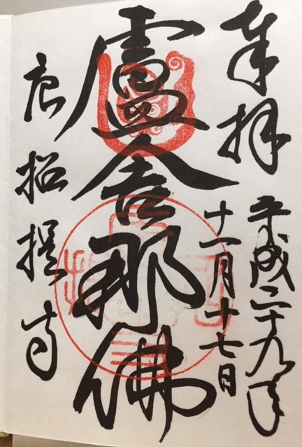 �����񎛌���