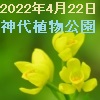 220422jindai