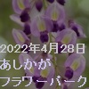 220428asikaga