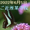 220605nanzou